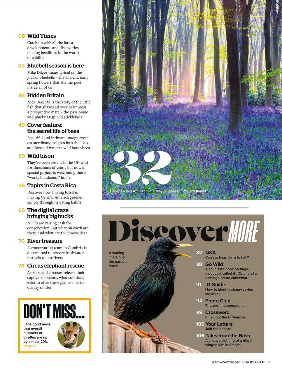 BBC Wildlife Magazine Preview Pages