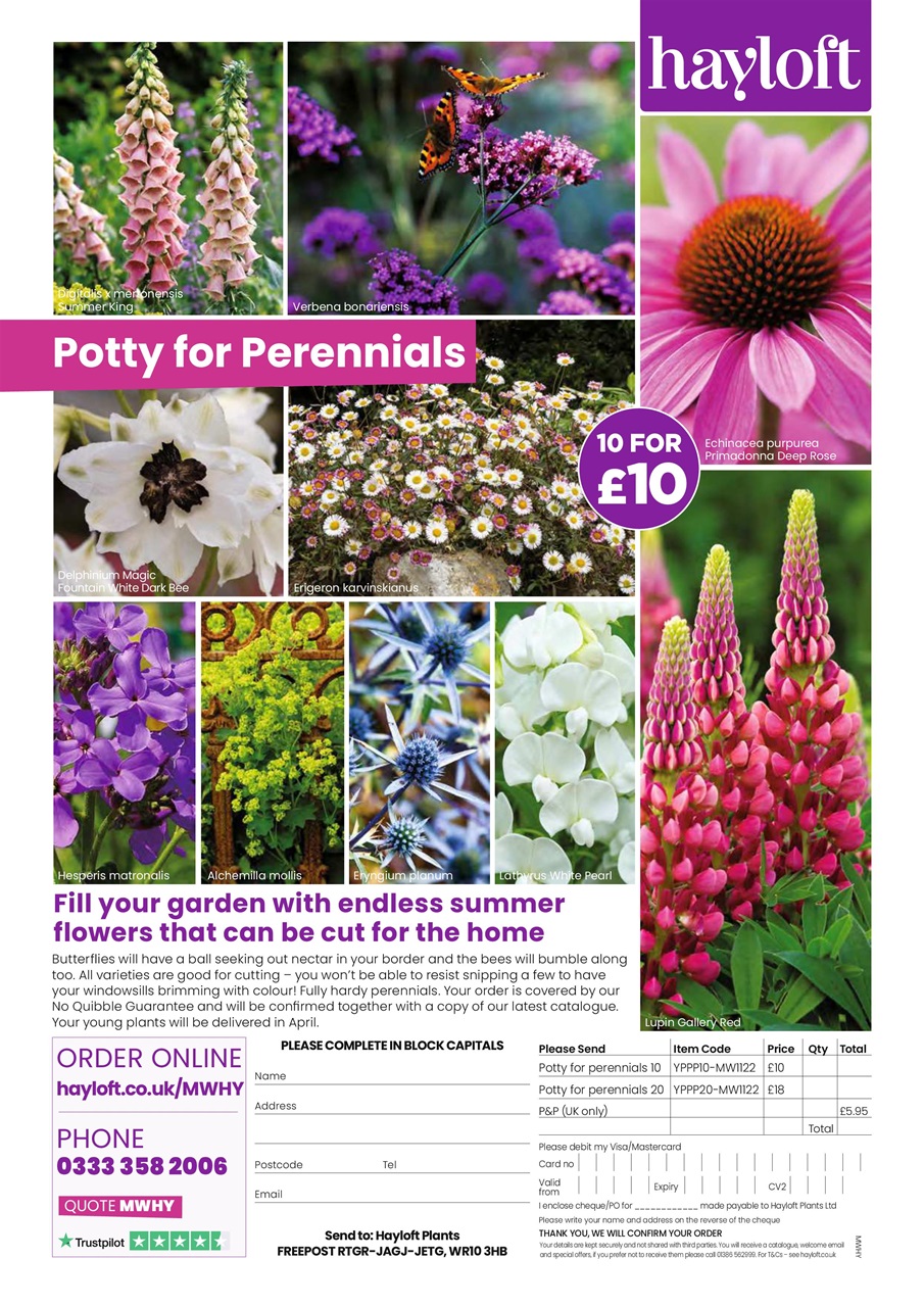 My Weekly Preview Pages