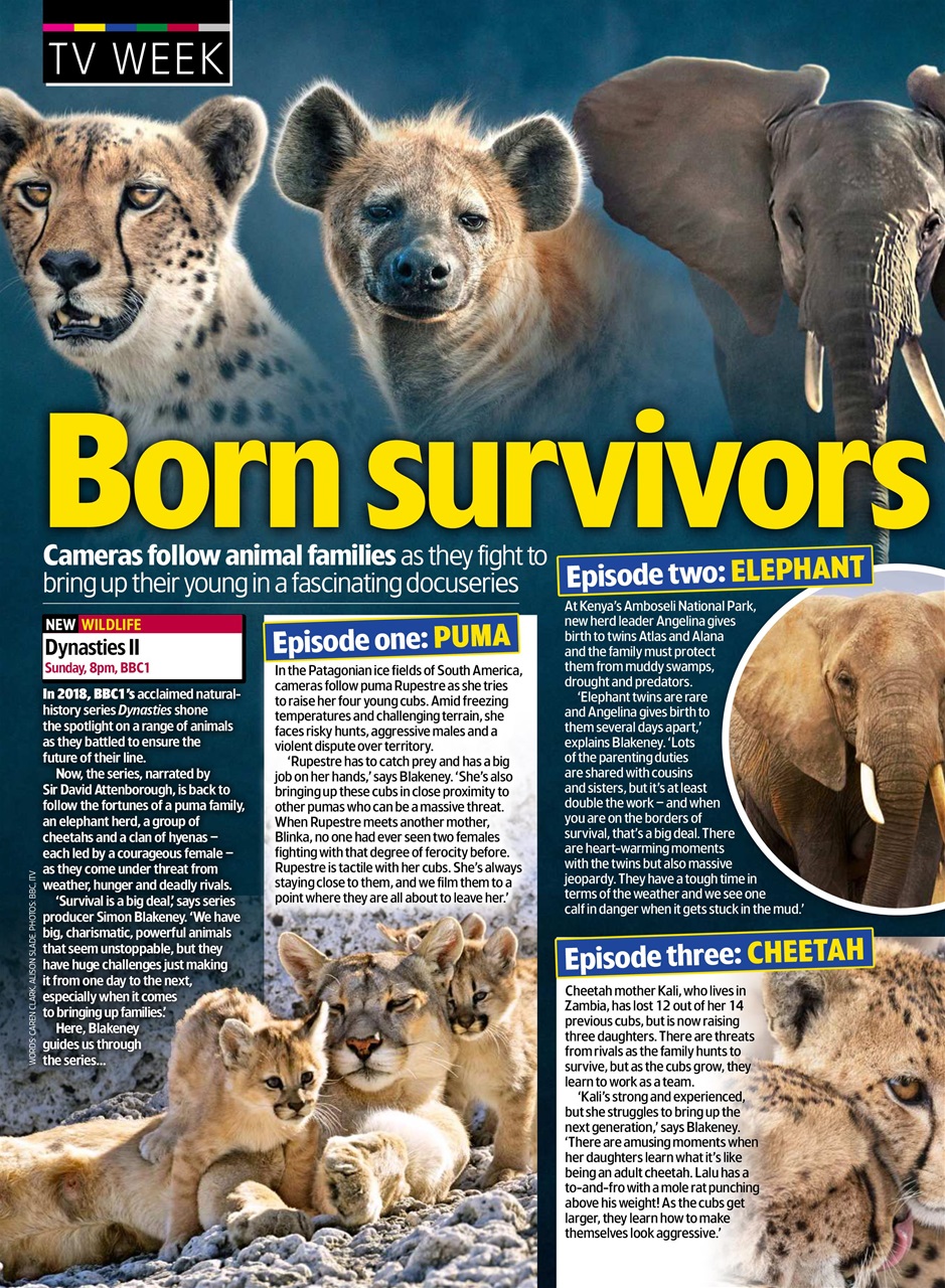 TV & Satellite Week Preview Pages