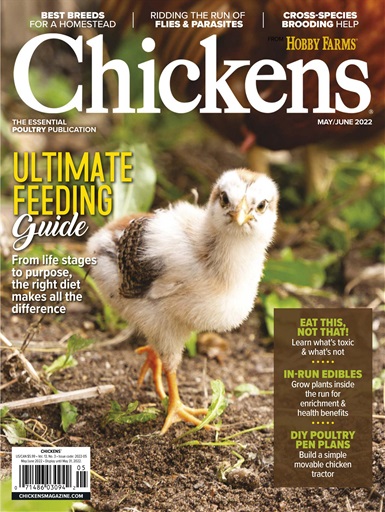 Chickens Magazine issue 