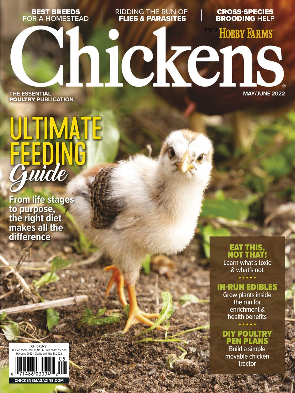 Chickens Magazine Preview Pages