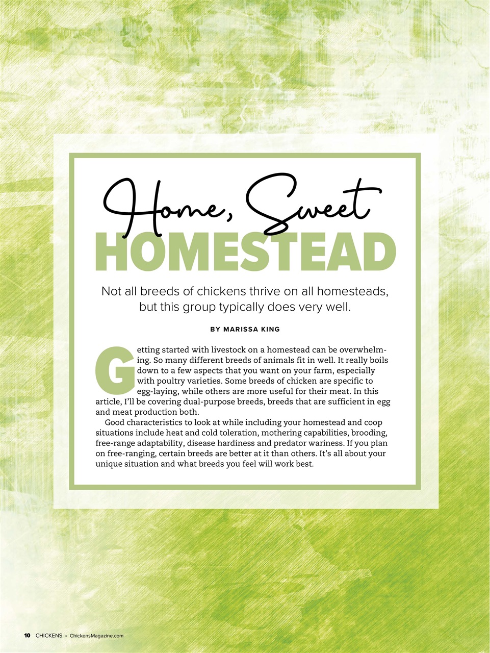 Chickens Magazine Preview Pages