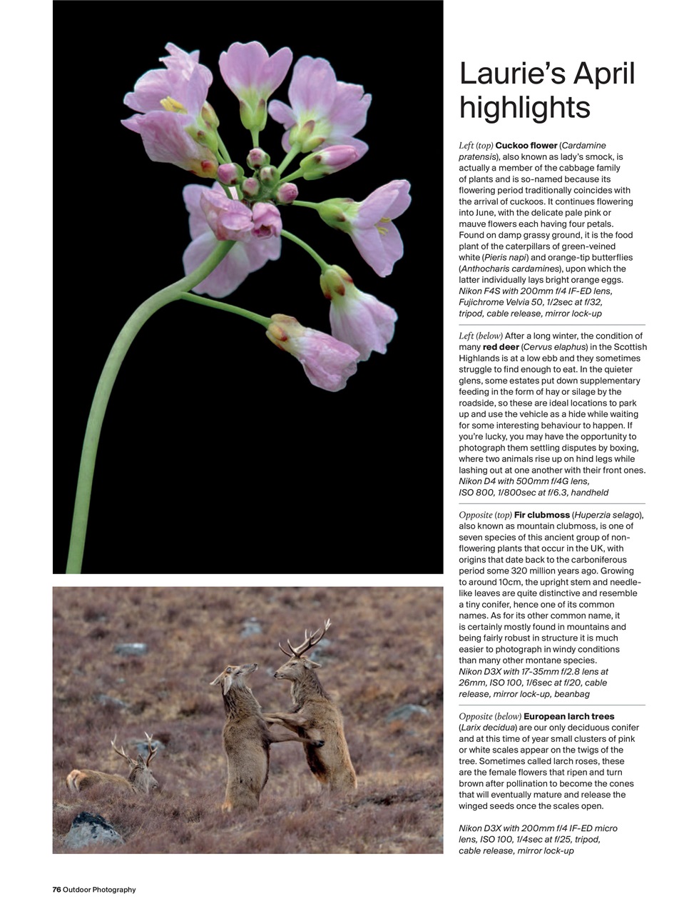 Outdoor Photography Preview Pages