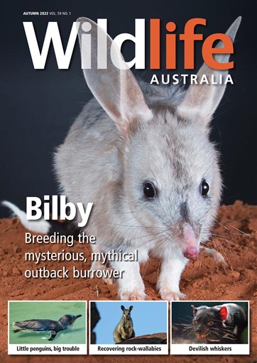 Wildlife Australia issue 