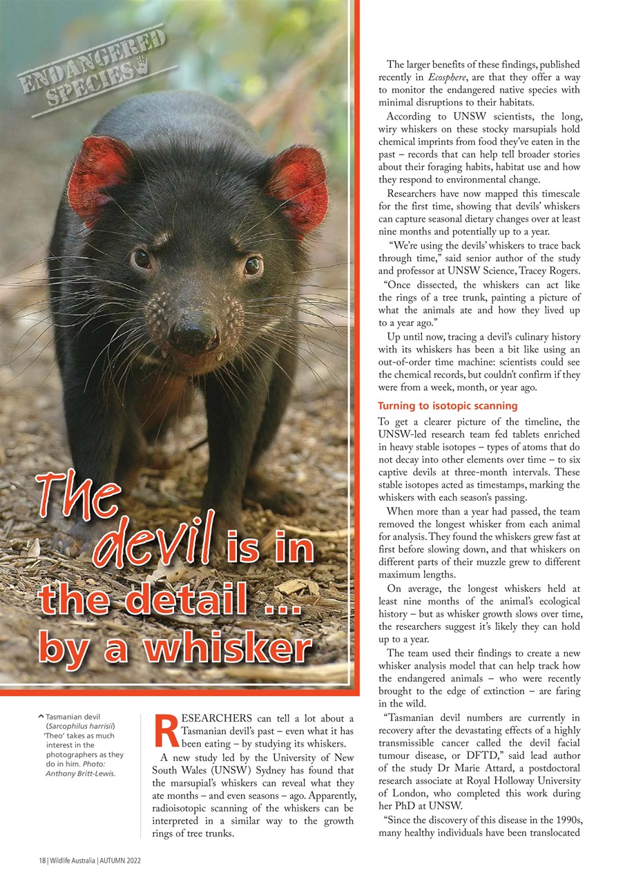 Wildlife Australia Preview Pages