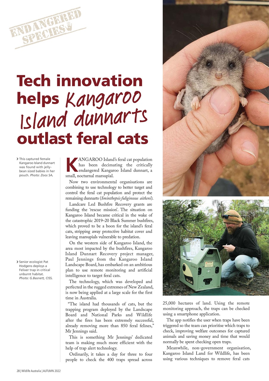 Wildlife Australia Preview Pages