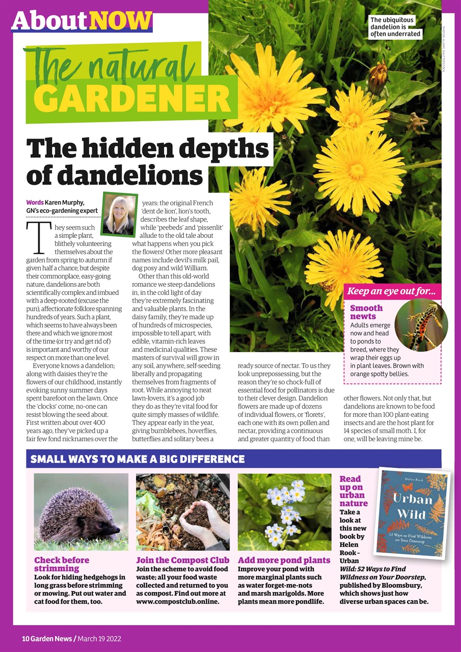Garden News Preview Pages