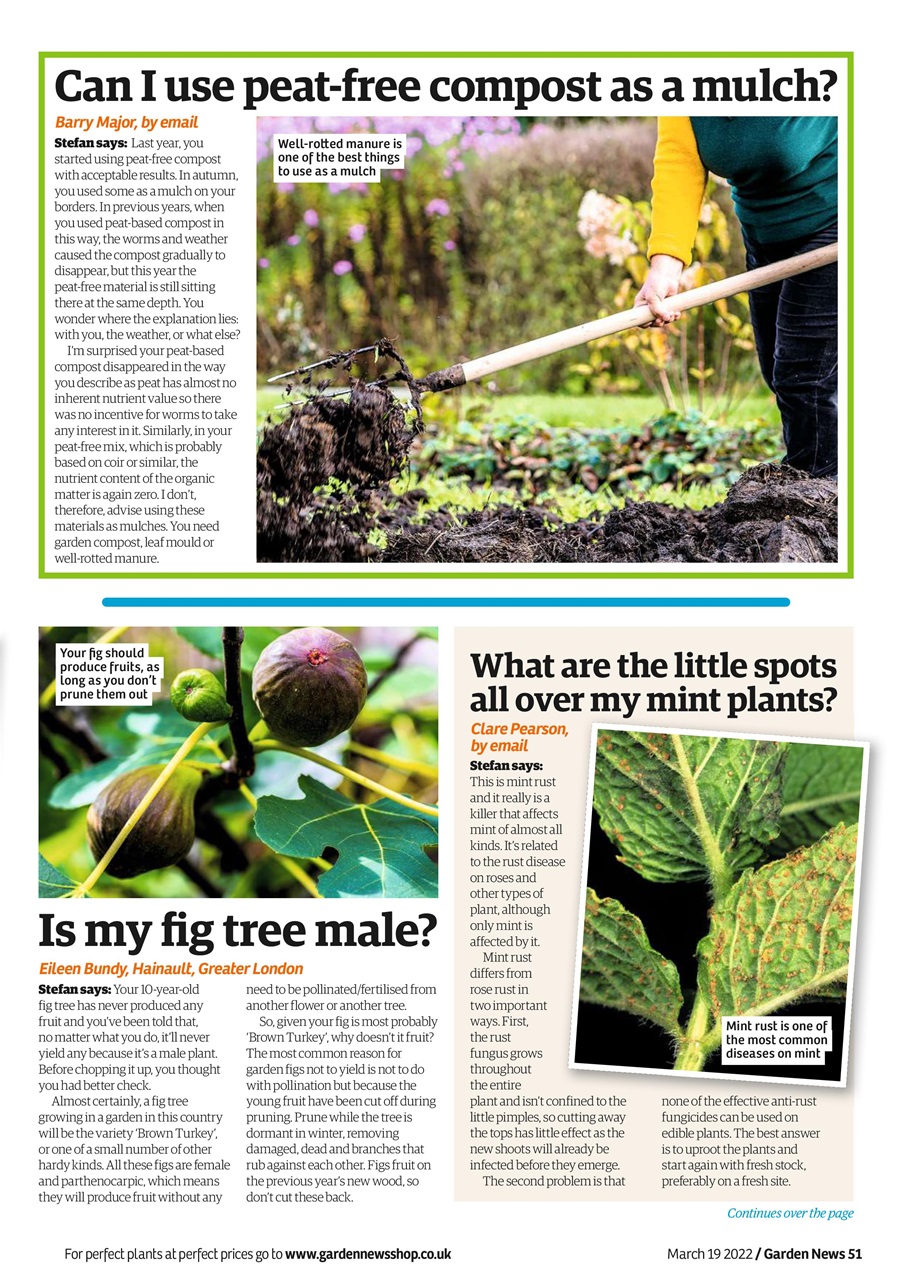 Garden News Preview Pages