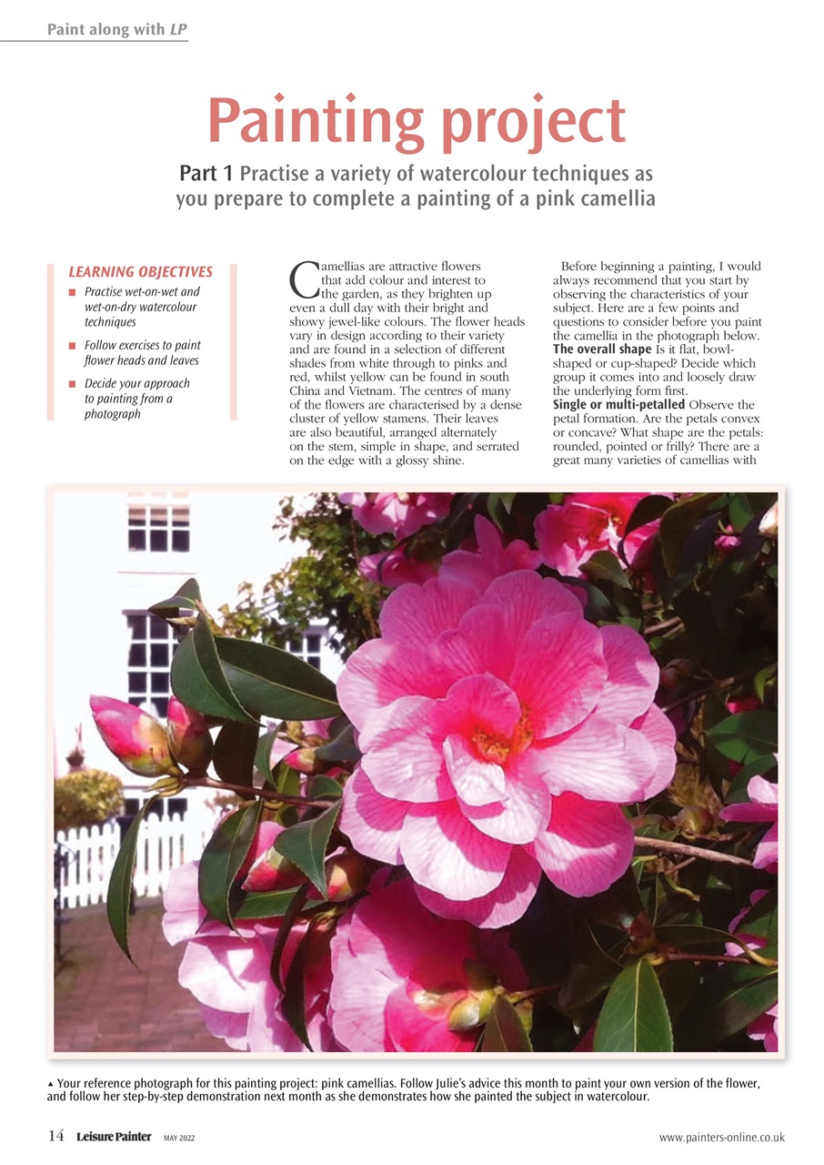 Leisure Painter & The Artist Preview Pages