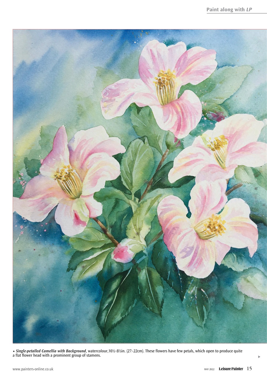 Leisure Painter & The Artist Preview Pages