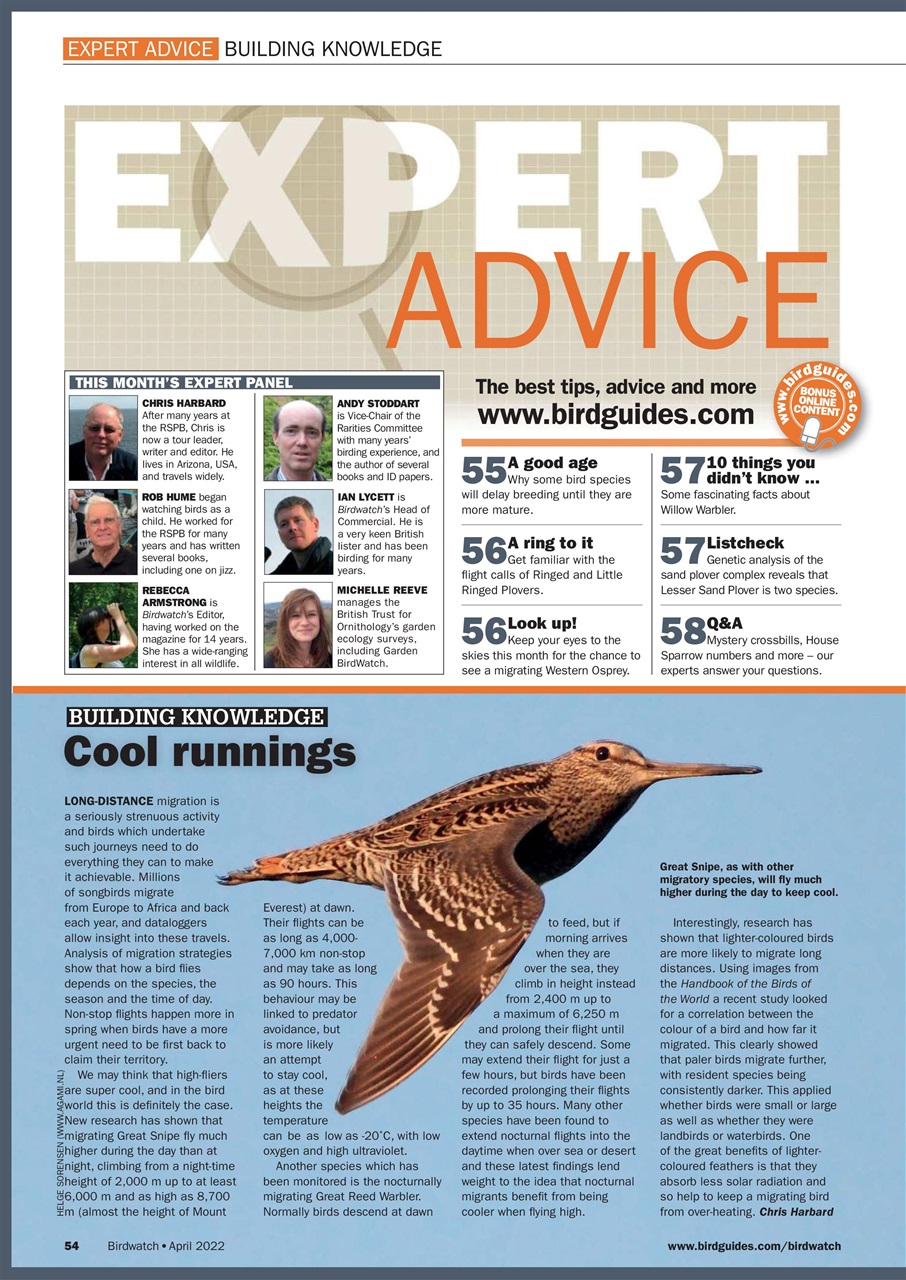 Birdwatch Magazine Preview Pages