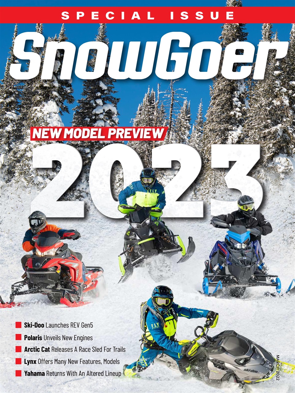 SnowGoer Preview Pages
