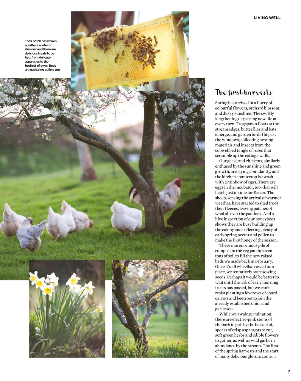 The Simple Things Preview Pages