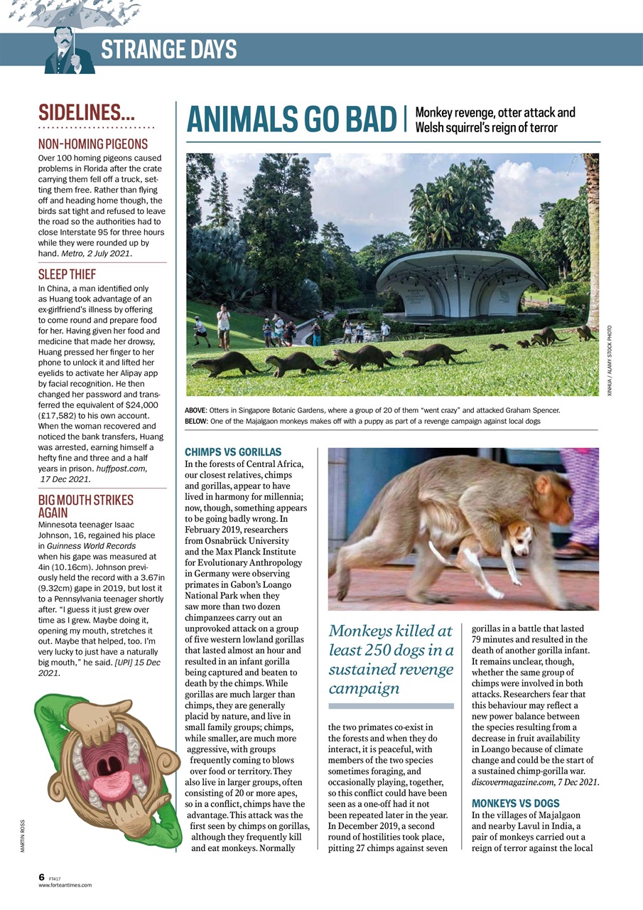 Fortean Times Preview Pages