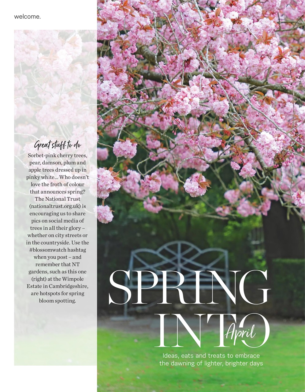 delicious. Magazine Preview Pages