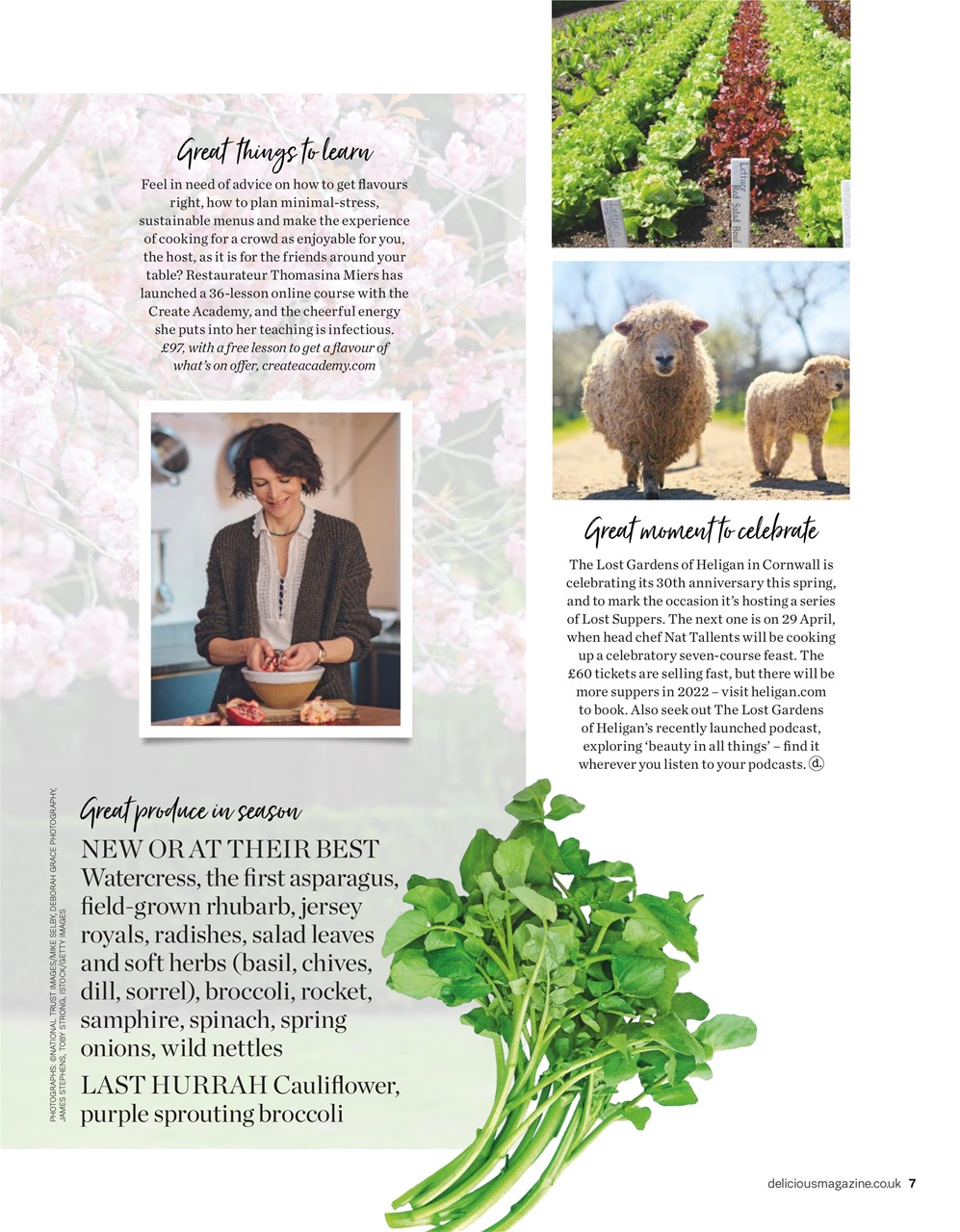 delicious. Magazine Preview Pages