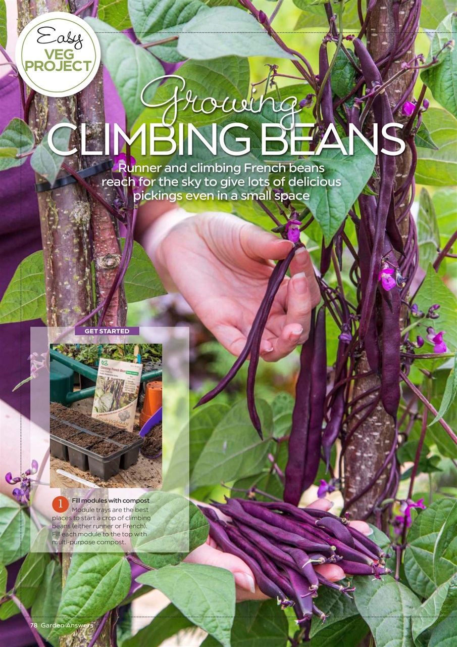Garden Answers Preview Pages