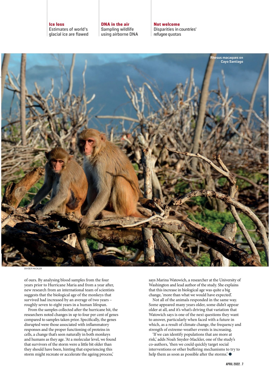 Geographical Preview Pages