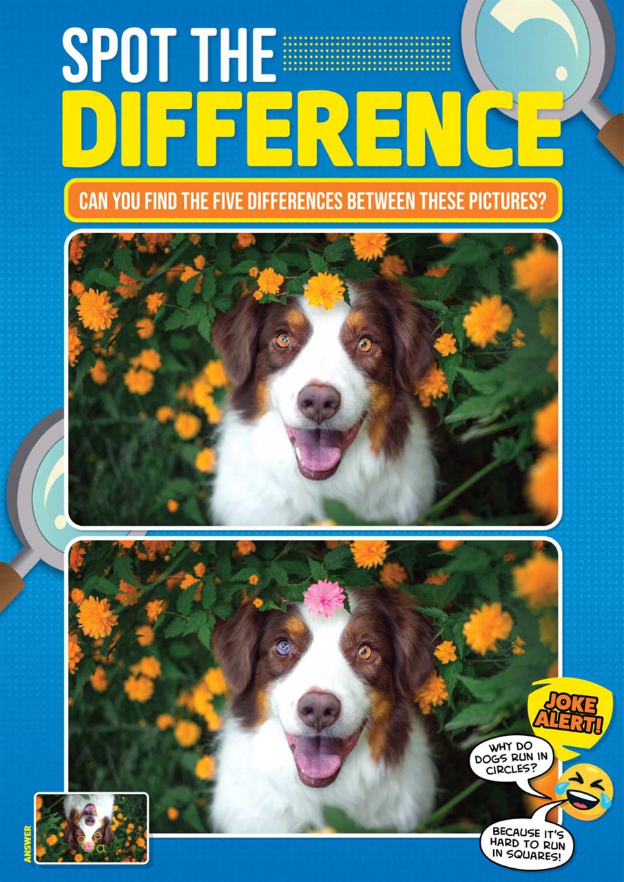 Animal Planet Kids Preview Pages