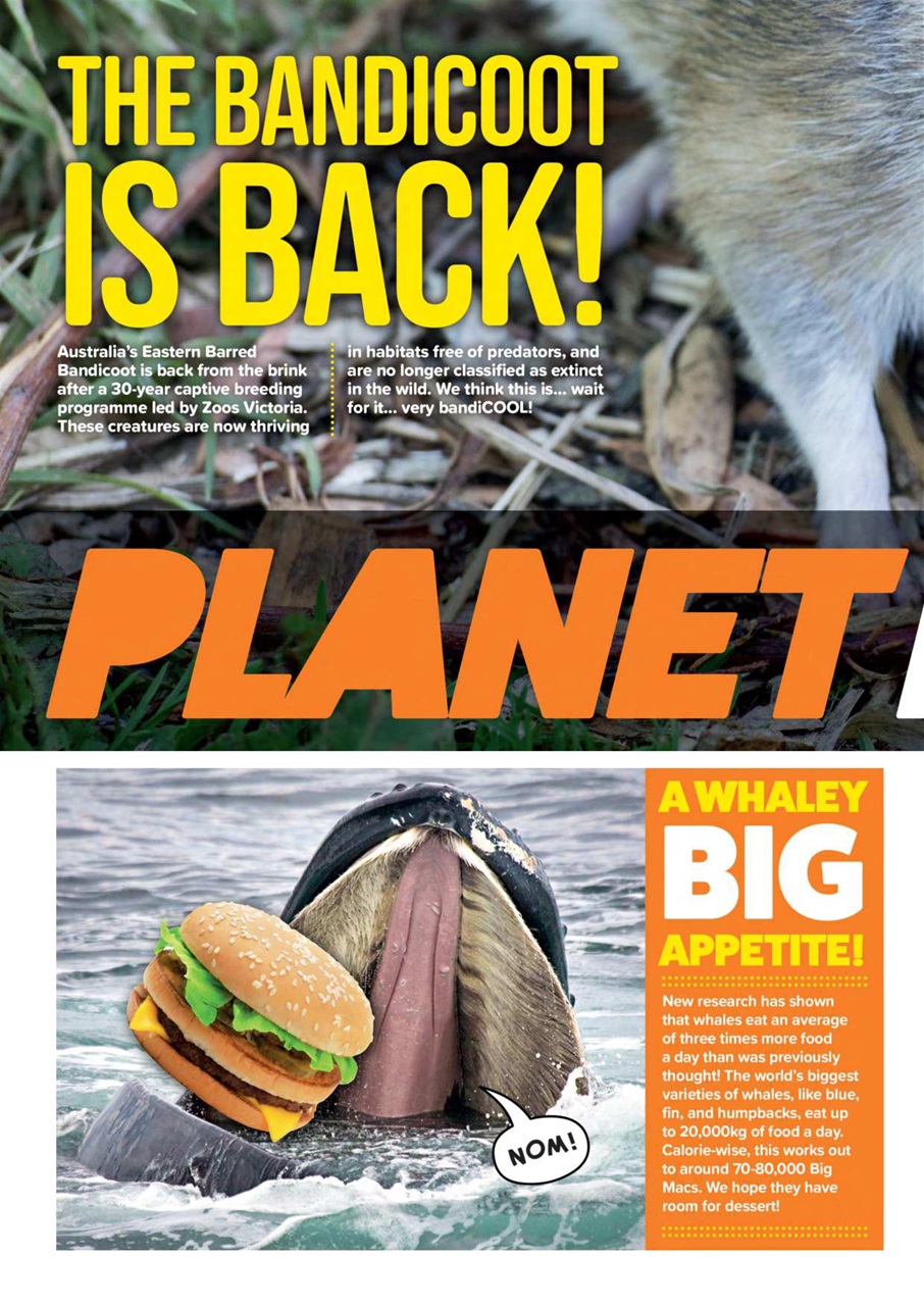Animal Planet Kids Preview Pages