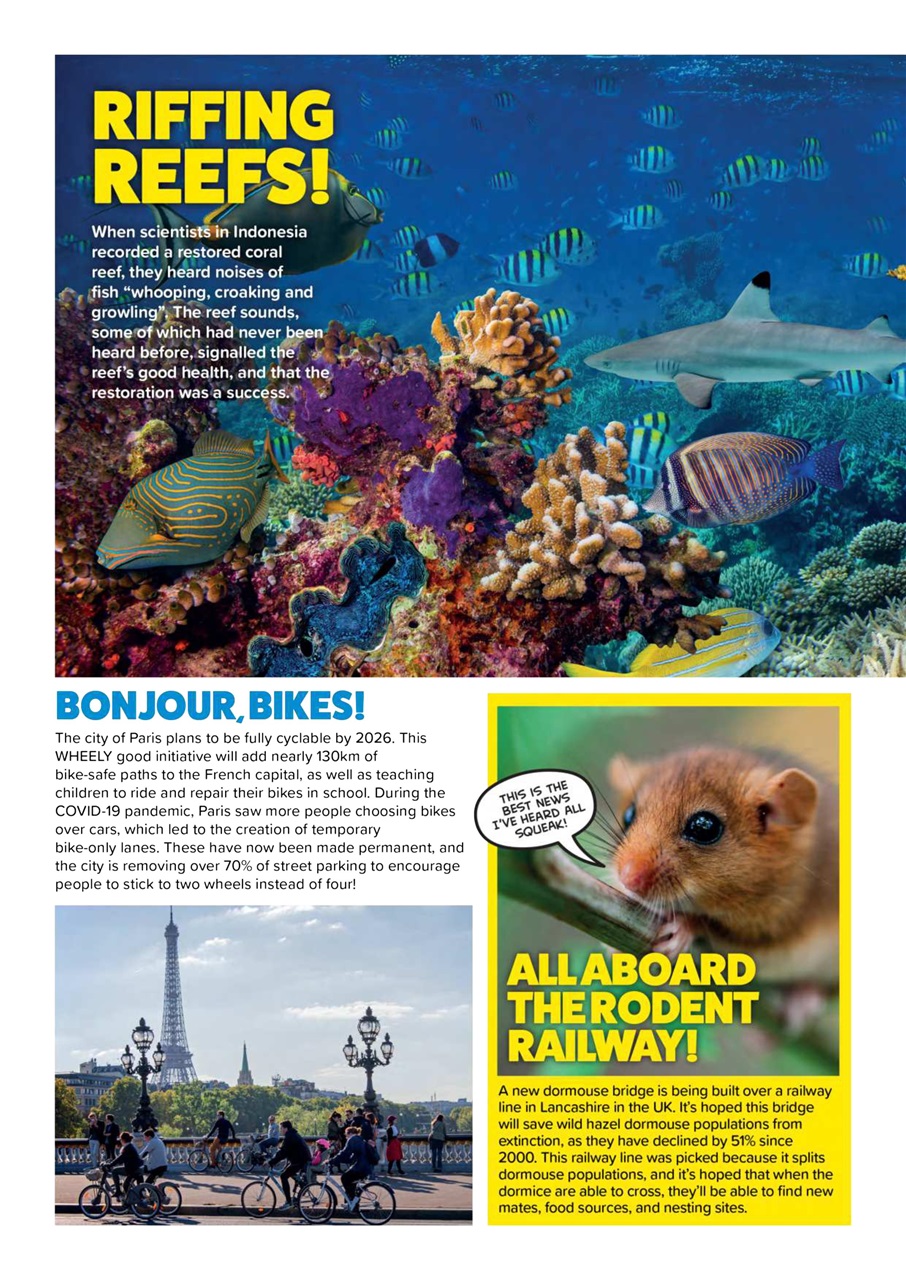 Animal Planet Kids Preview Pages