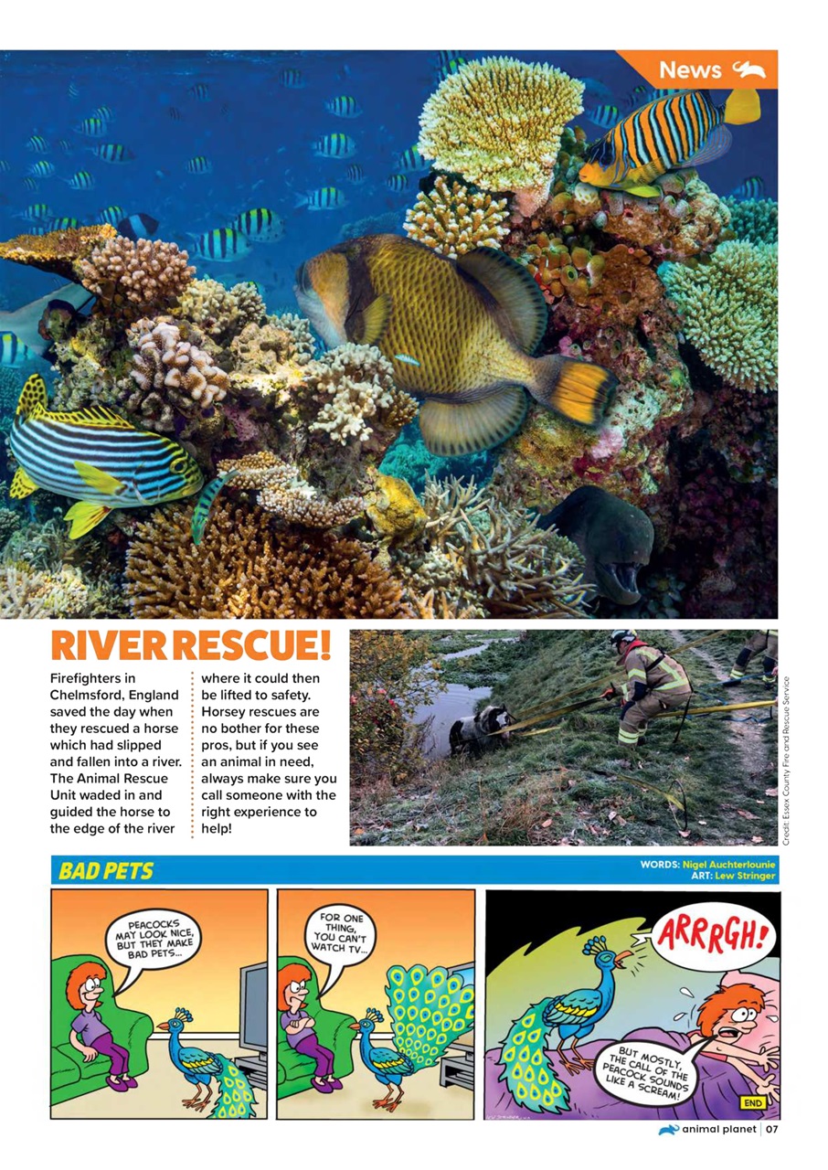 Animal Planet Kids Preview Pages