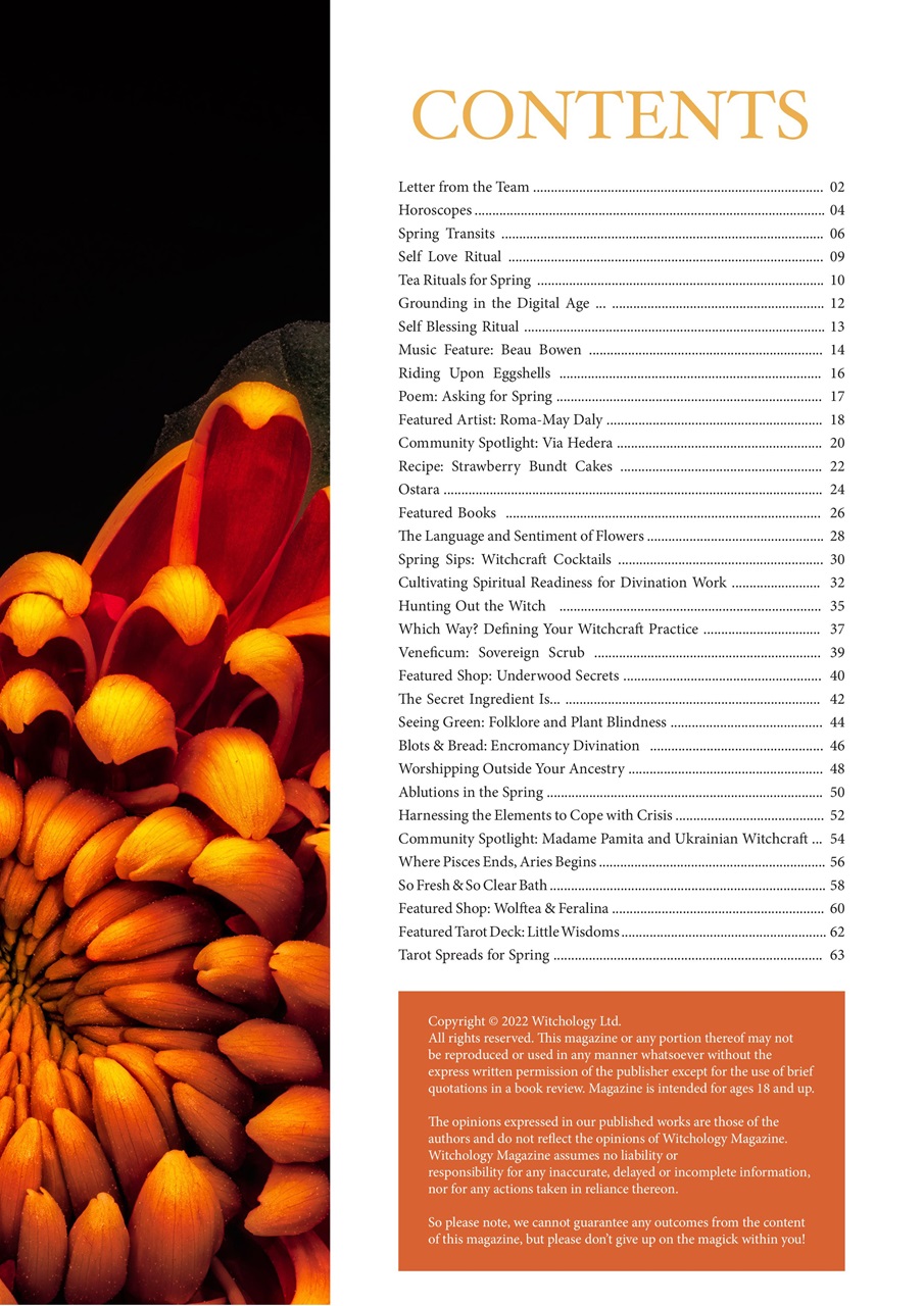 Witchology Magazine Preview Pages