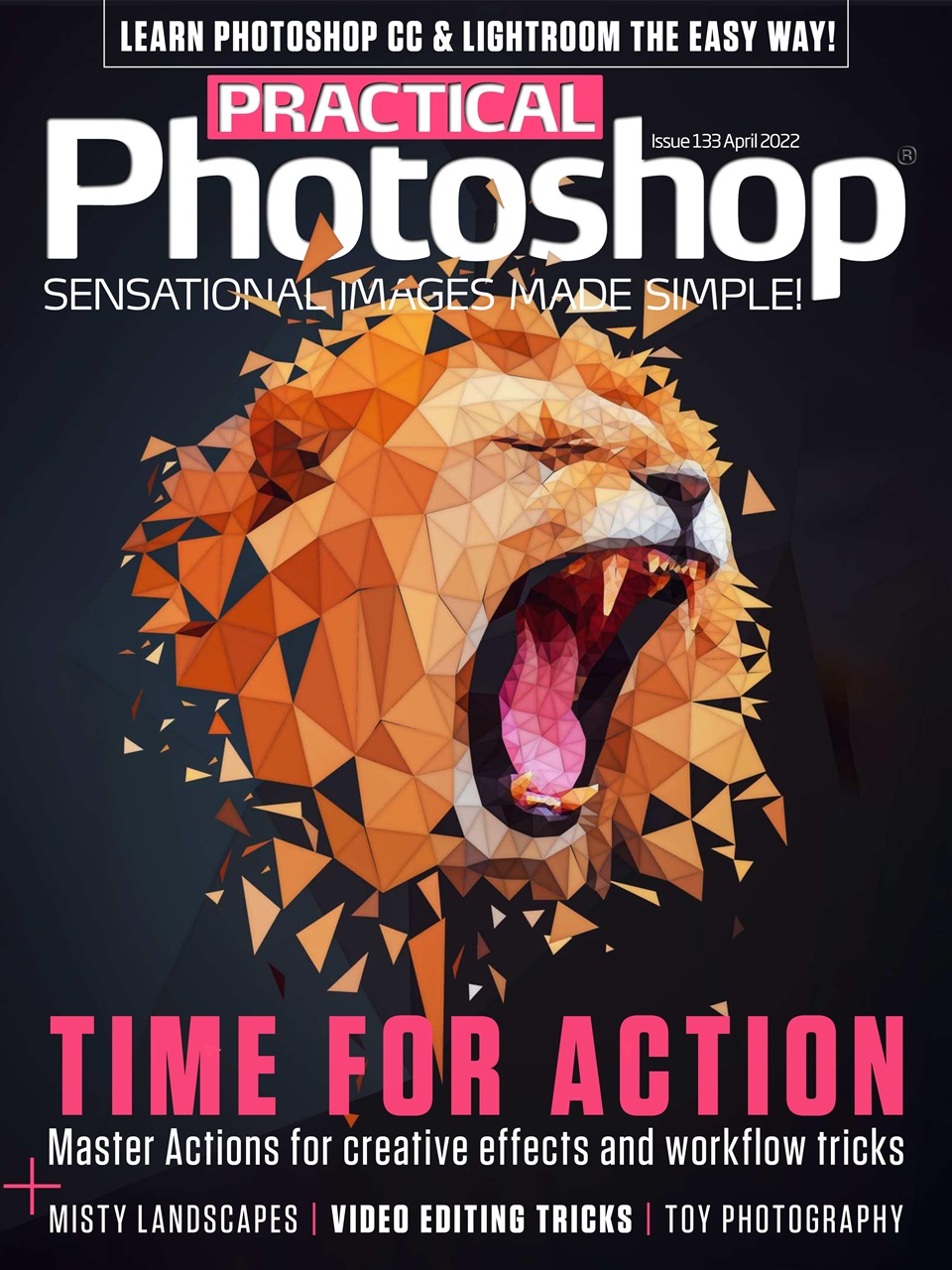 Practical Photoshop Preview Pages