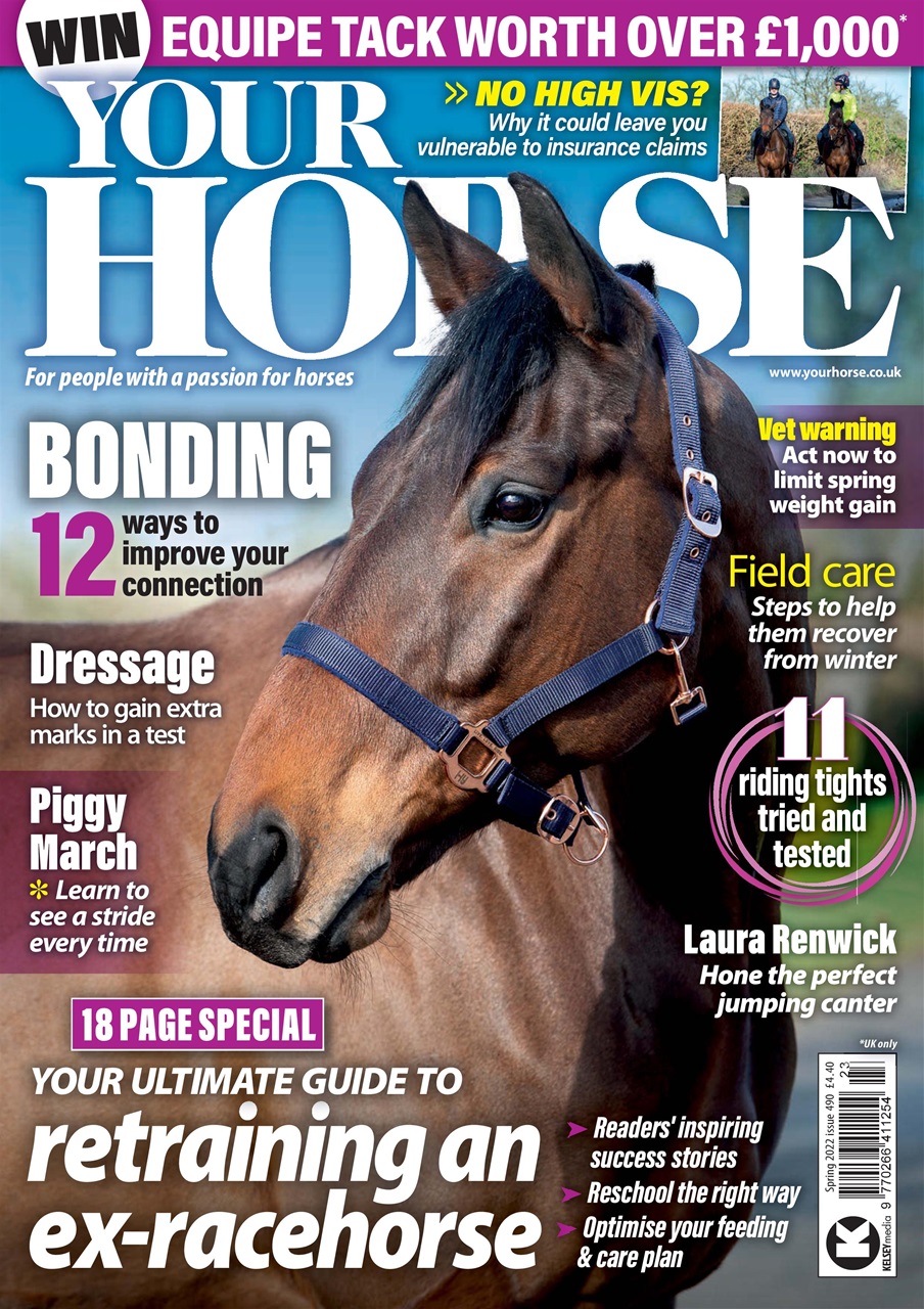 Your Horse Preview Pages