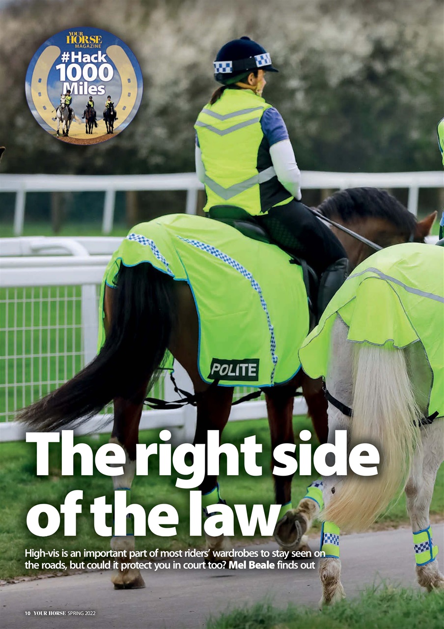Your Horse Preview Pages