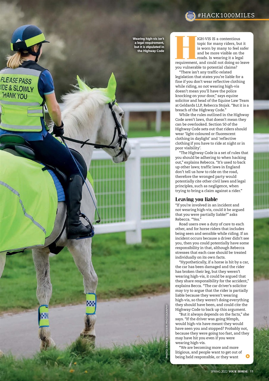 Your Horse Preview Pages