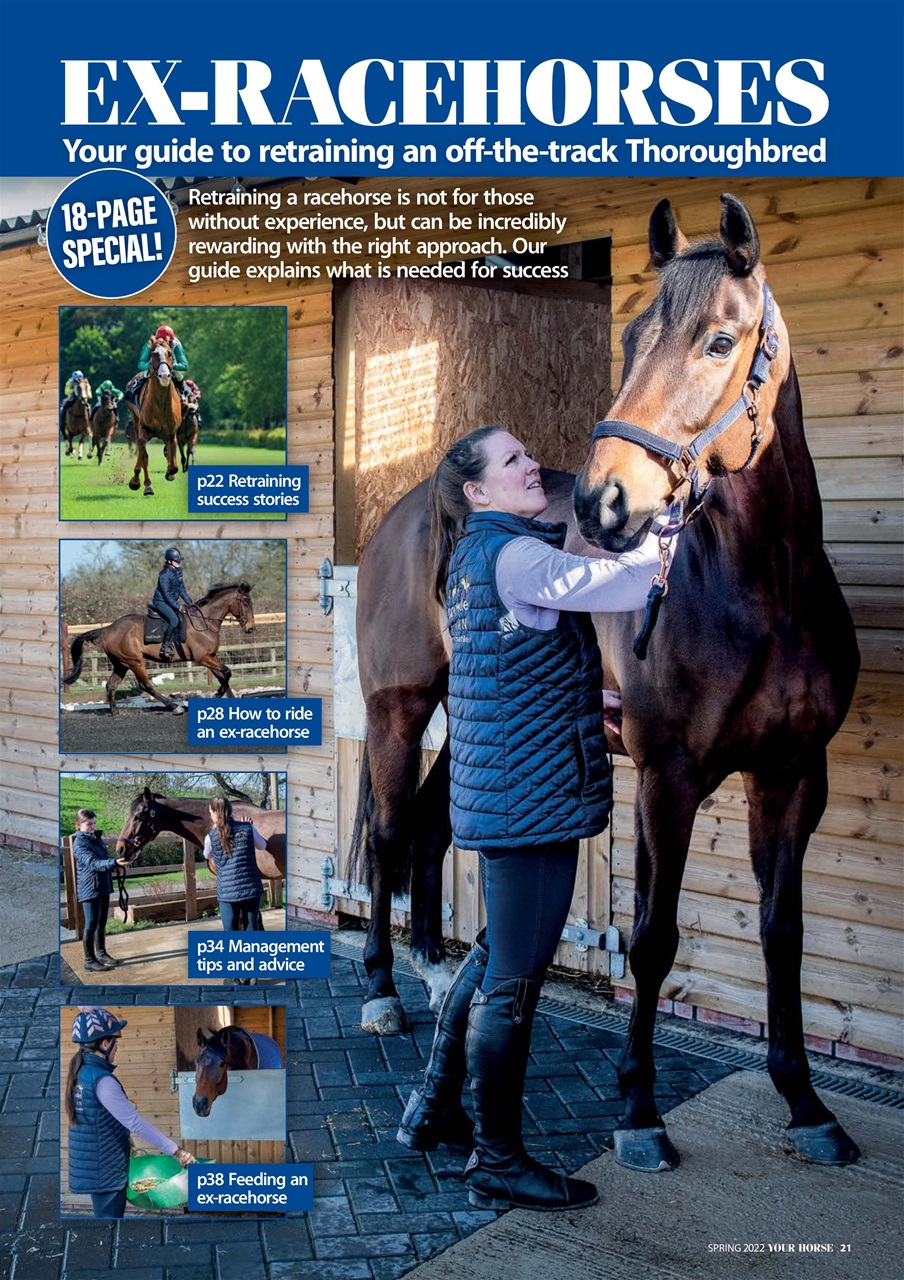 Your Horse Preview Pages