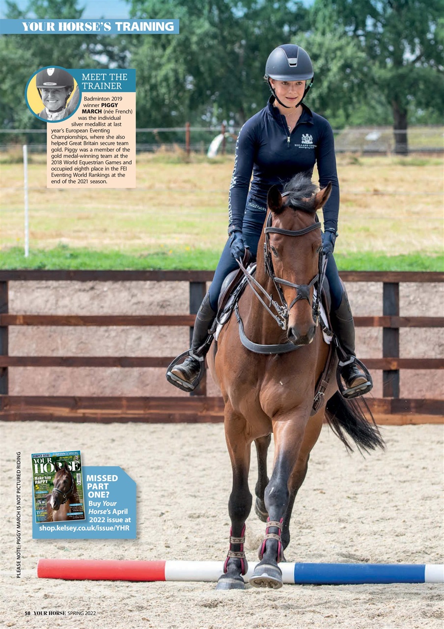 Your Horse Preview Pages