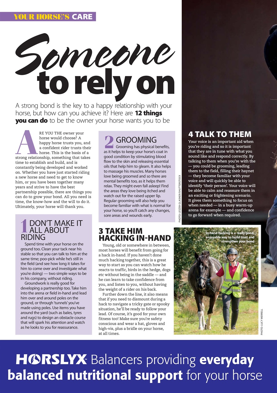 Your Horse Preview Pages