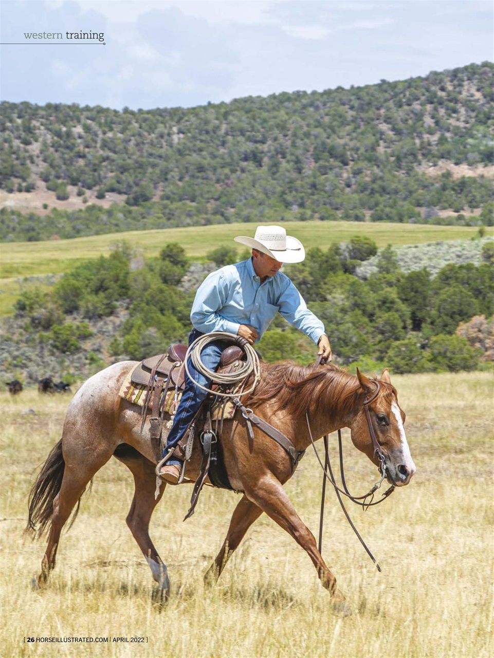 Horse Illustrated Magazine Preview Pages