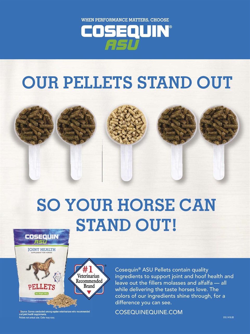 Horse Illustrated Magazine Preview Pages