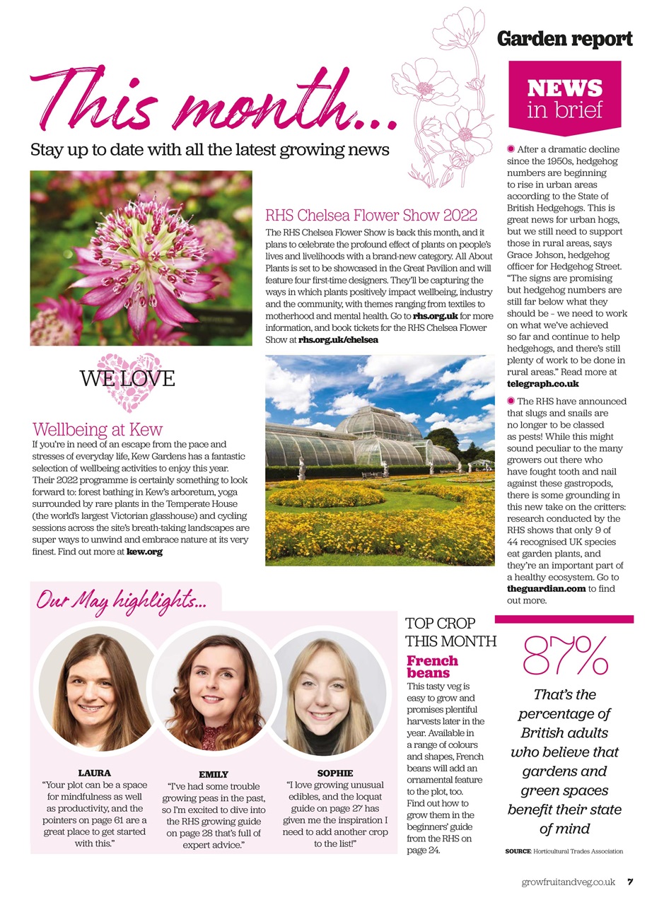 Grow Your Own Preview Pages