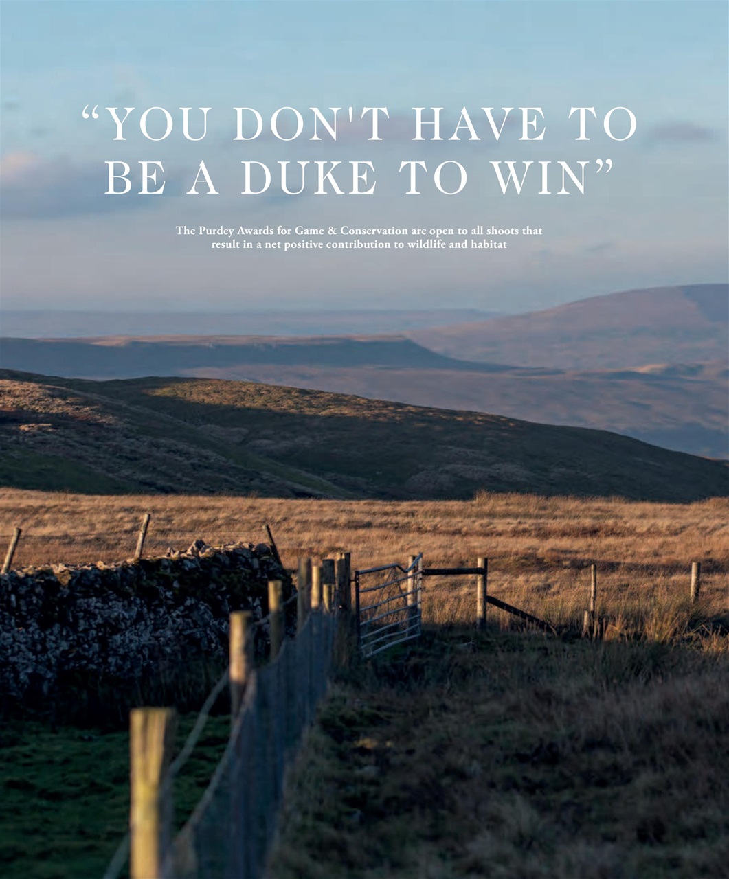 Fieldsports Journal Preview Pages