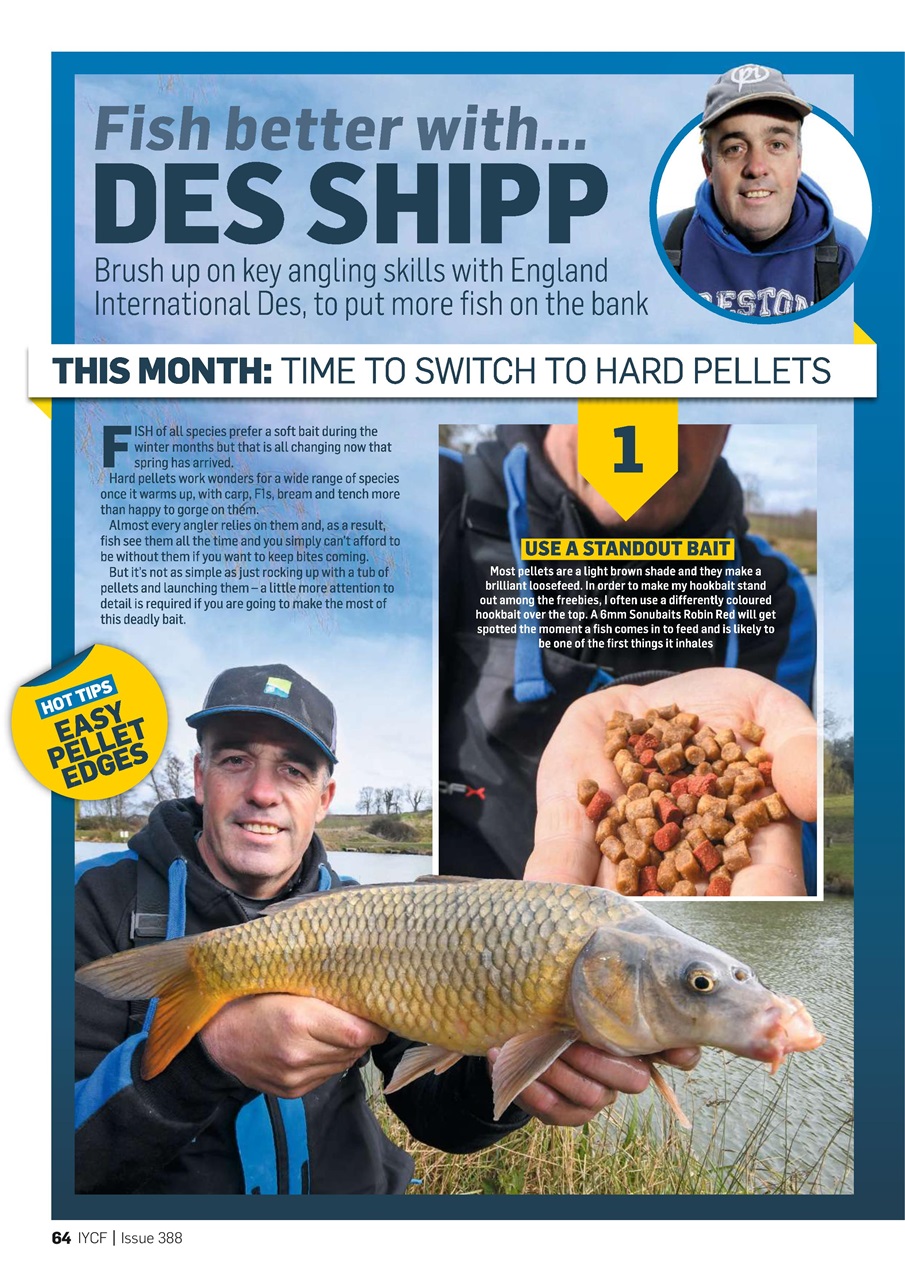 Improve Your Coarse Fishing Preview Pages