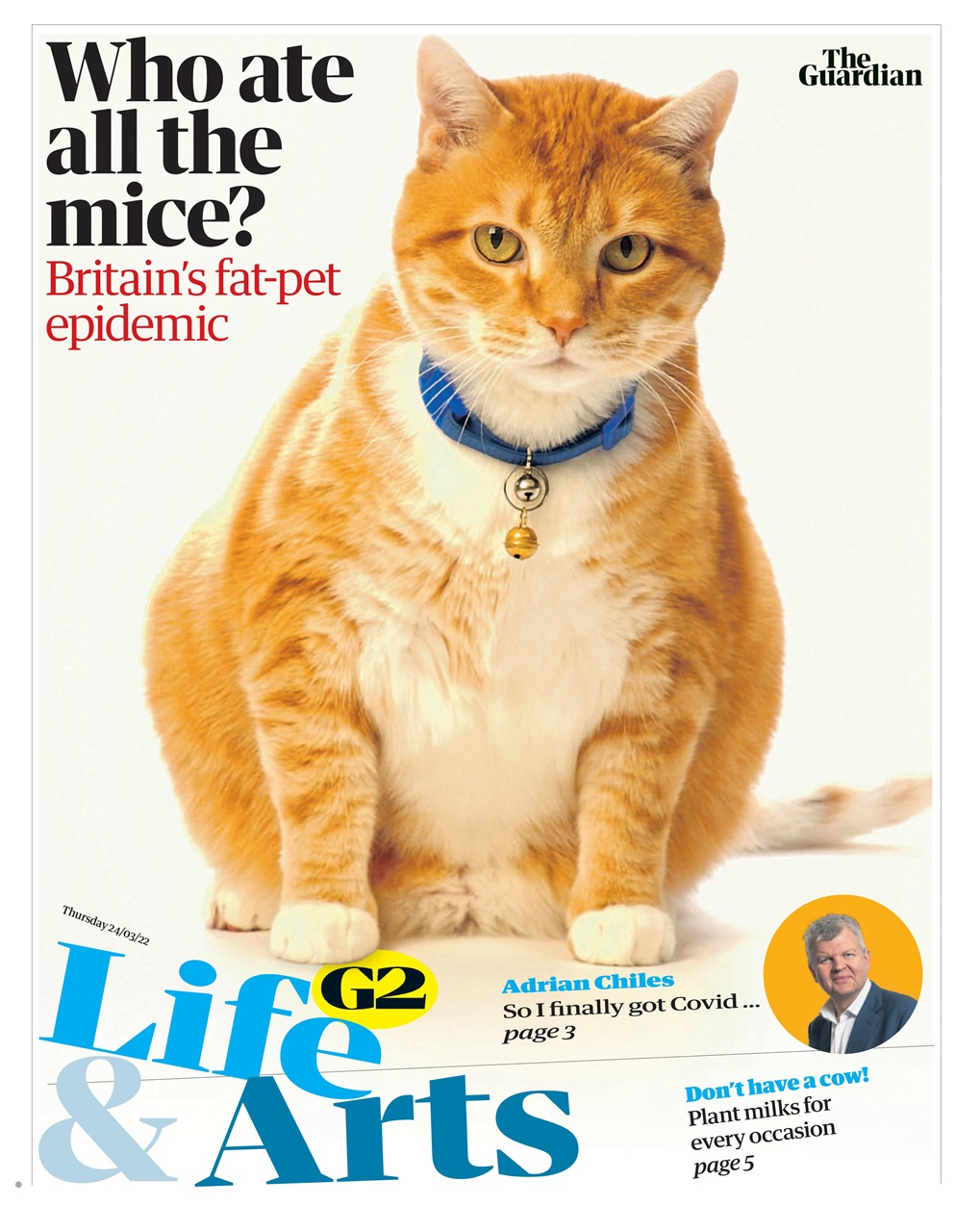 The Guardian Newspaper Preview Pages