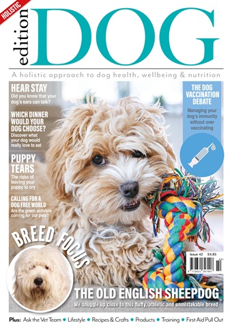 Edition Dog issue Edition Dog Issue 42