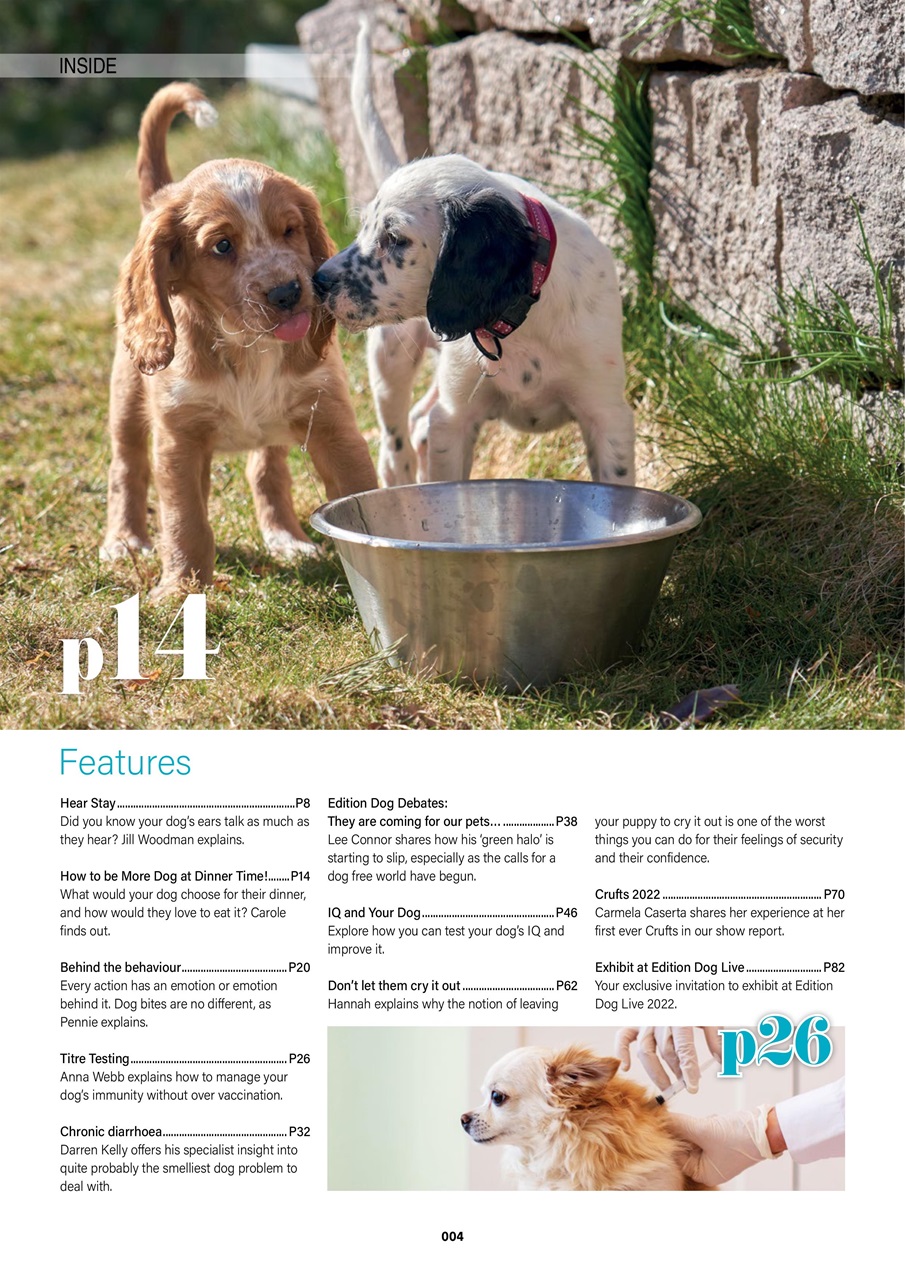 Edition Dog Preview Pages
