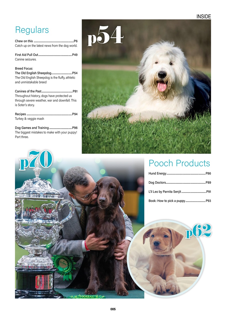 Edition Dog Preview Pages