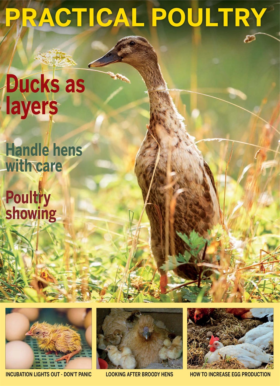 The Smallholder Preview Pages