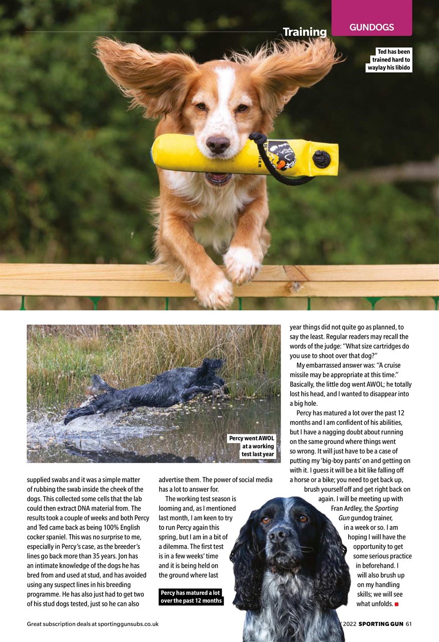 Sporting Gun Preview Pages