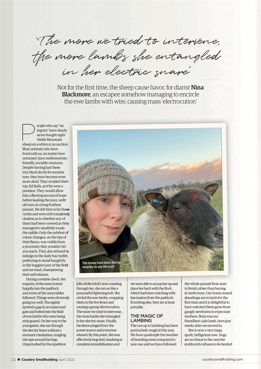 The Country Smallholder Preview Pages
