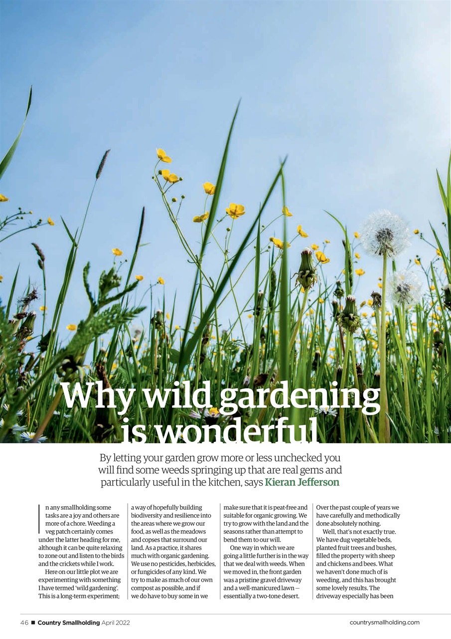The Country Smallholder Preview Pages