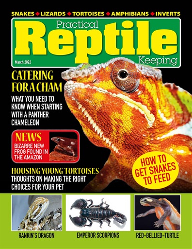 Practical Reptile Keeping issue 