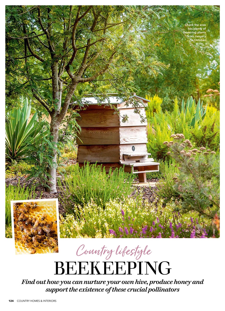 Country Homes & Interiors Preview Pages