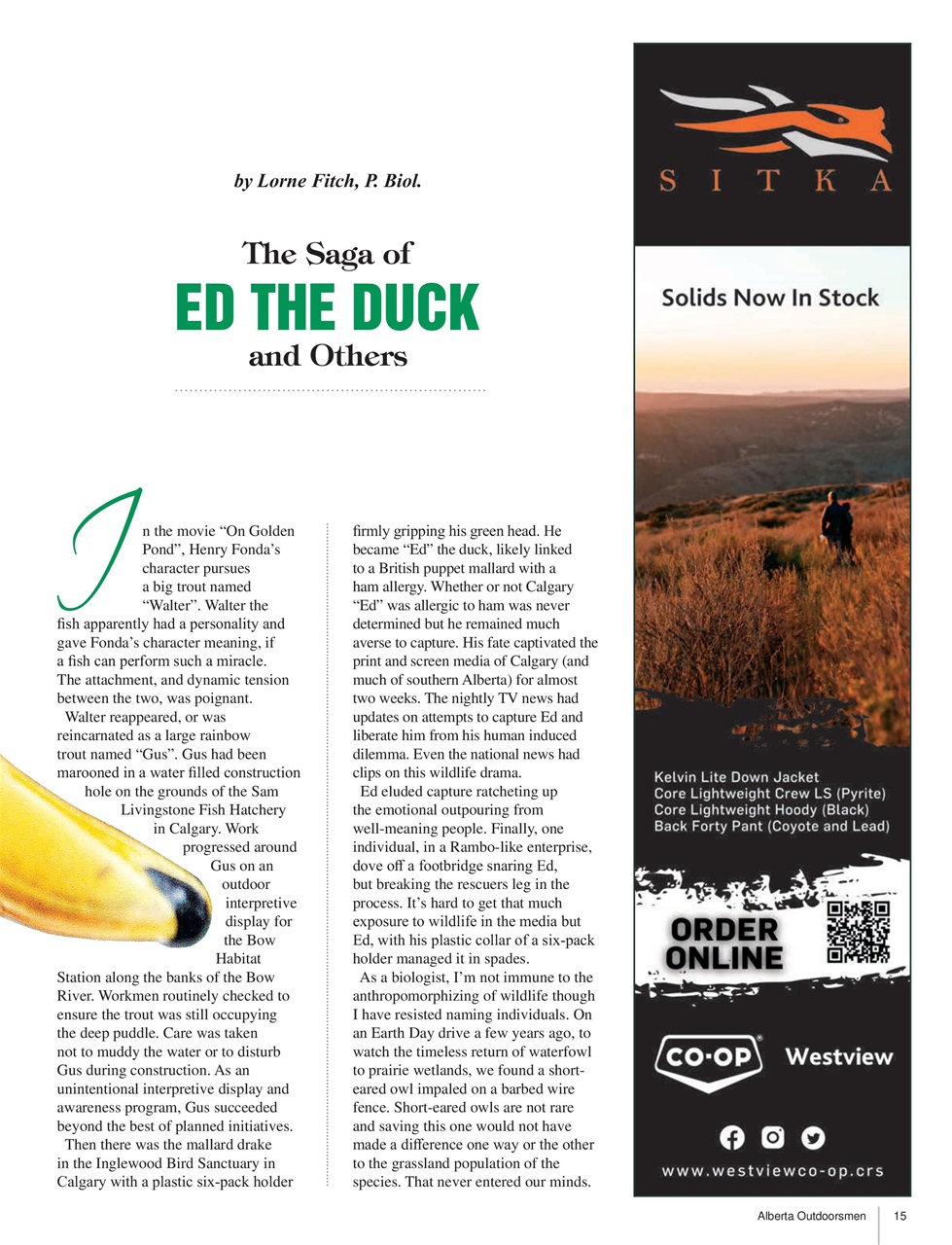 Alberta Outdoors Preview Pages